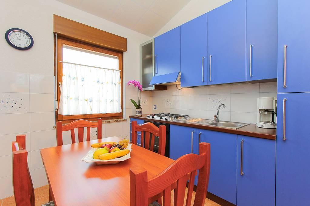 Apartment Vlah *